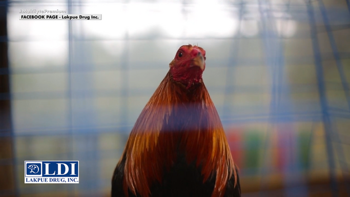 Powered by LDI August 16, 2025